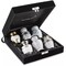 Mini Keepsake Cremation Urns for Human Ashes, Set of 6 Silver and Gold with Case